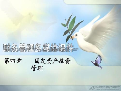 固定资产投资决策分析与管理